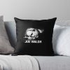 throwpillowsmall1000x bgf8f8f8 c020010001000 6 - Eagles Band Merch